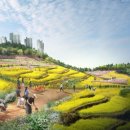 윈윈공인중개사사무소 이미지