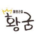황굼 | 아이와 함께 꼭 가봐야 할 곳]충남 금산에서 만나는 특별한 곤충 체험 여행지, &#39;황굼 곤충 체험농장&#39;