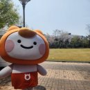 (주)민트투어 이미지