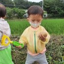 야호농장 이미지