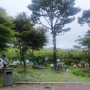 선일화원 이미지