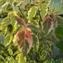 성장농장 이미지