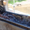 킹스키즈어린이집 이미지