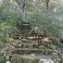 장동 산림욕장 입구 공중화장실 이미지