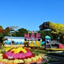 두륜산도립공원 관리사무소 | 가을의 중심부 추억 담기, ”땅끝 해남 미남축제장 및 해남 일원에서“