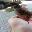 삼일구내식당