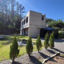 헤윰,소 이미지