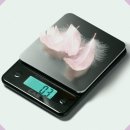 모든저울