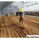 송가네농장 이미지