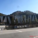 바바라무인텔 이미지