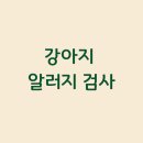 성경완 동물병원 이미지