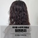 온리동물병원 | 우이동 수유역 미용실 원앤온리 히피펌 후기