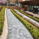 맑은누리작은도서관 | 맑은누리작은도서관 후기