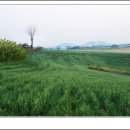 안성목장 이미지