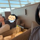 티월드투어 | 신혼여행_호주 패키지여행🐨 DAY+0 | 하나투어 시드니 패키지 후기 |비자발급, 데이터로밍, 사전좌석지정...