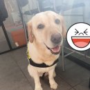 멍스바스 이미지