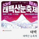당진도깨비라이브포차 | 2026태백산눈축제 다녀온 후기