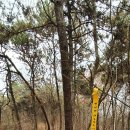 진봉면사무소 이미지