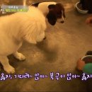 종일농장 이미지