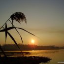 강가의아침 이미지