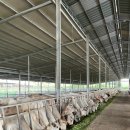 기홍농장 이미지