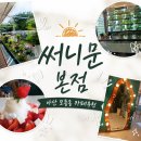 문써니 | [아산 모종동 카페] 도심 속 예쁜 야외 감성, '써니문본점' 생딸기치즈빙수 솔직 후기!