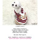 혹시 큰강아지 옷 필요 한분 계세여 ㅋㅋ 싸게 판매 할께요