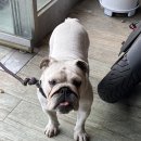 (주)비앤비모터스 이미지