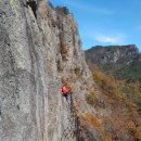 제226 차 구미 금 오 산(金烏山)976m 정기산행 이미지