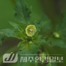 원산목장 이미지