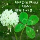 청학로학교길 네이버블로그
