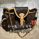 더블랙태닝&모스트핏 | 루이비통 오디세이pm 실사용 후기(명품백 추천, 일상 착샷, 장단점 등)