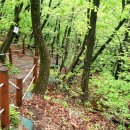 아랫배알미길 이미지