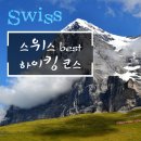 트립포미 이미지