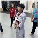 미르태권도장 이미지