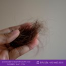 메리케어 두피관리, 해남·목포·나주에서 건강한 두피를 만들 수 있습니다. [김희정두피클리닉]