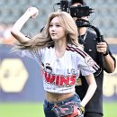 가을 마이데일리