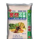 완효성 비료 추천🧪✨