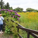 신화역사로 이미지