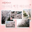 행복한부산맘 이미지
