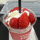 요거프레소일죽