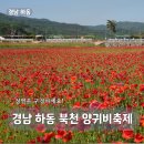 북천역 | 경남 하동 여행 제12회 북천 꽃양귀비축제 1억 송이 양귀비 꽃물결 레일바이크까지 봄꽃 축제 완벽 정리