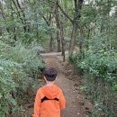 명일공원 유아숲체험원 이미지