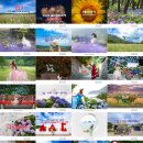 소래화원 이미지