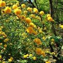 이장천약수터 이미지