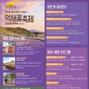 제27회 포천 산정호수 명성산 억새꽃 축제 | 2024년 10월 축제 추천 제27회 포천 산정호수 명성산 억새꽃축제 정보 알려드릴게요