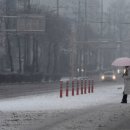 인천종합버스터미널 횡단보도 이미지