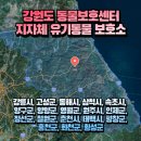 춘천시동물보호센터 | 강원도 동물보호센터 강원도 공공 동물 보호센터 강원도 유기동물 보호시설