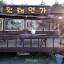 미시령황태연가 이미지