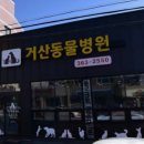 거산동물병원 네이버블로그